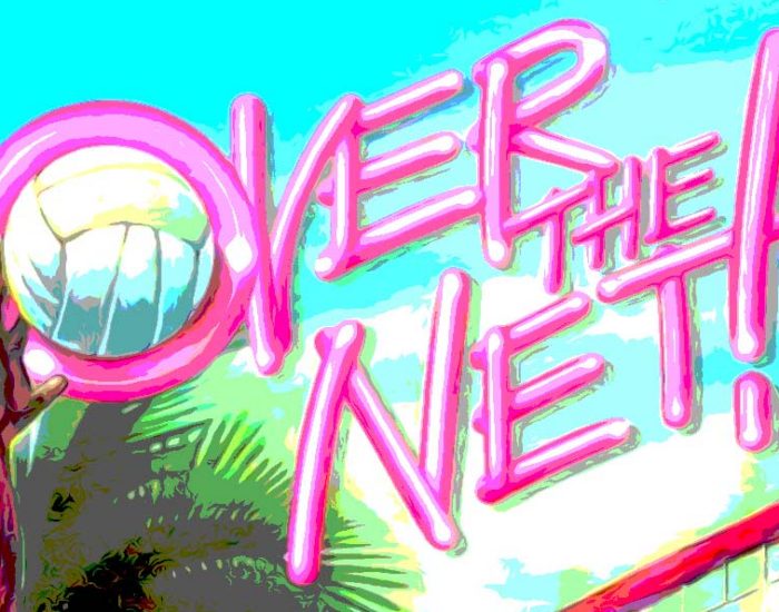 Over The Net - Genias - PC IBM - Dino Olivieri