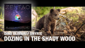 Dozing in the Shady Wood - Zentao Relaxing Music Vol.1 - Dino Olivieri